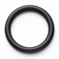 Seal O Ring Small