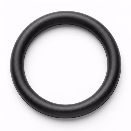 Seal O Ring Small